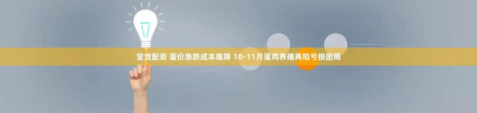 宝货配资 蛋价急跌成本难降 10-11月蛋鸡养殖再陷亏损困局