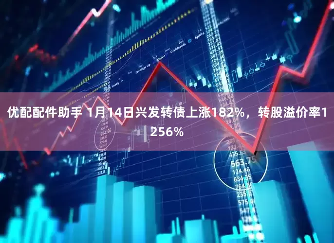 优配配件助手 1月14日兴发转债上涨182%，转股溢价率1256%