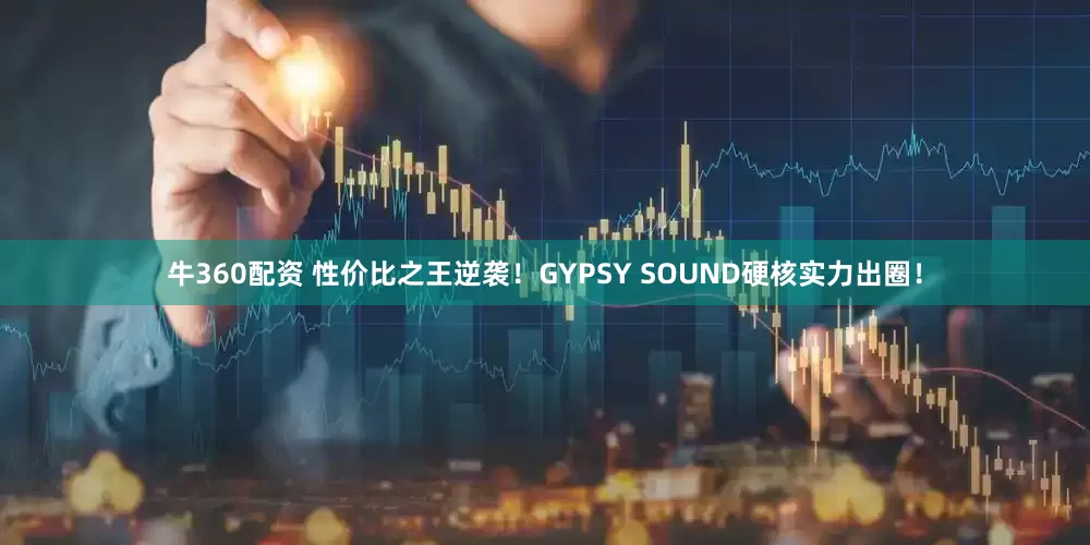 牛360配资 性价比之王逆袭！GYPSY SOUND硬核实力出圈！